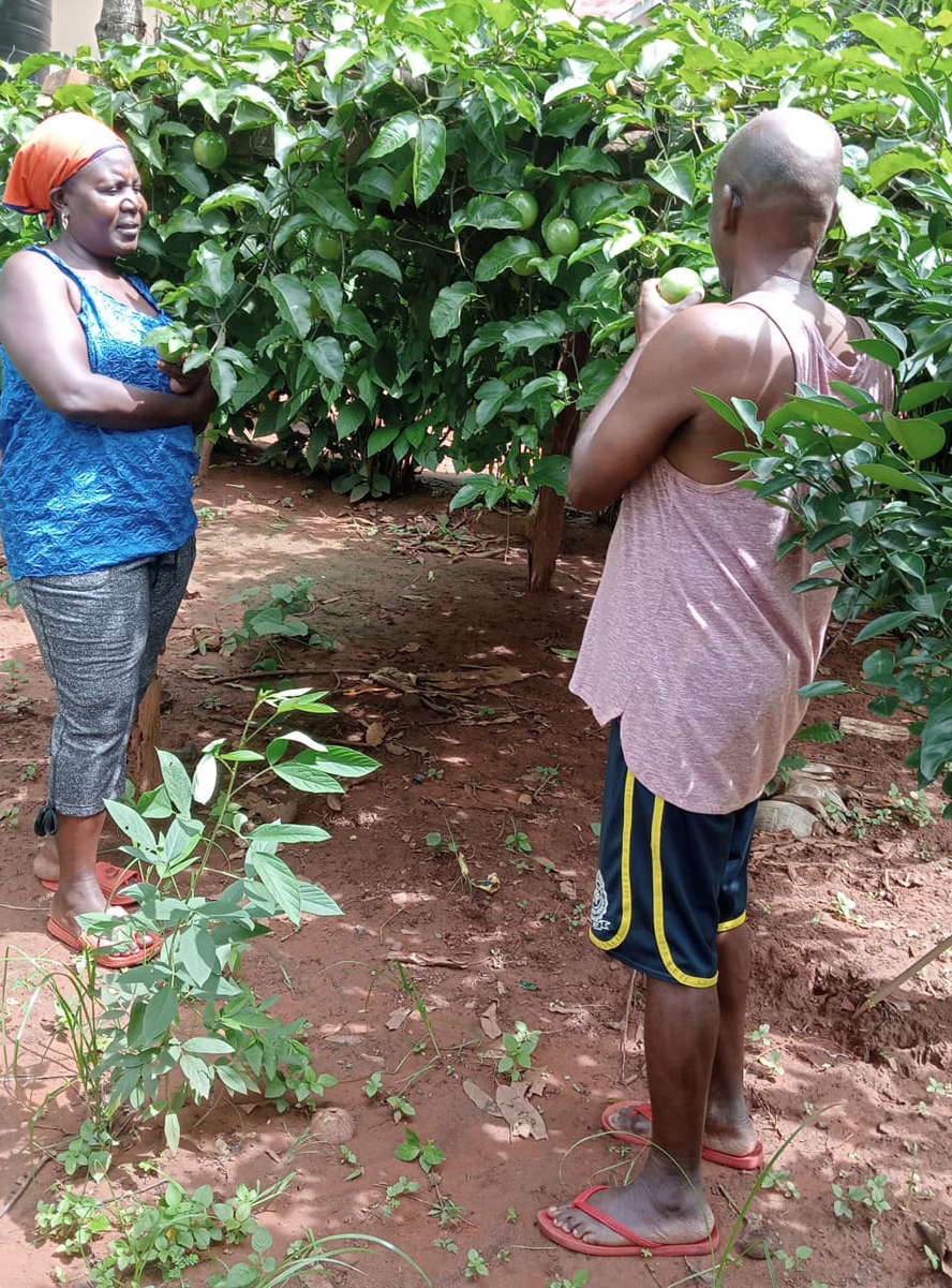 Agriculture Training